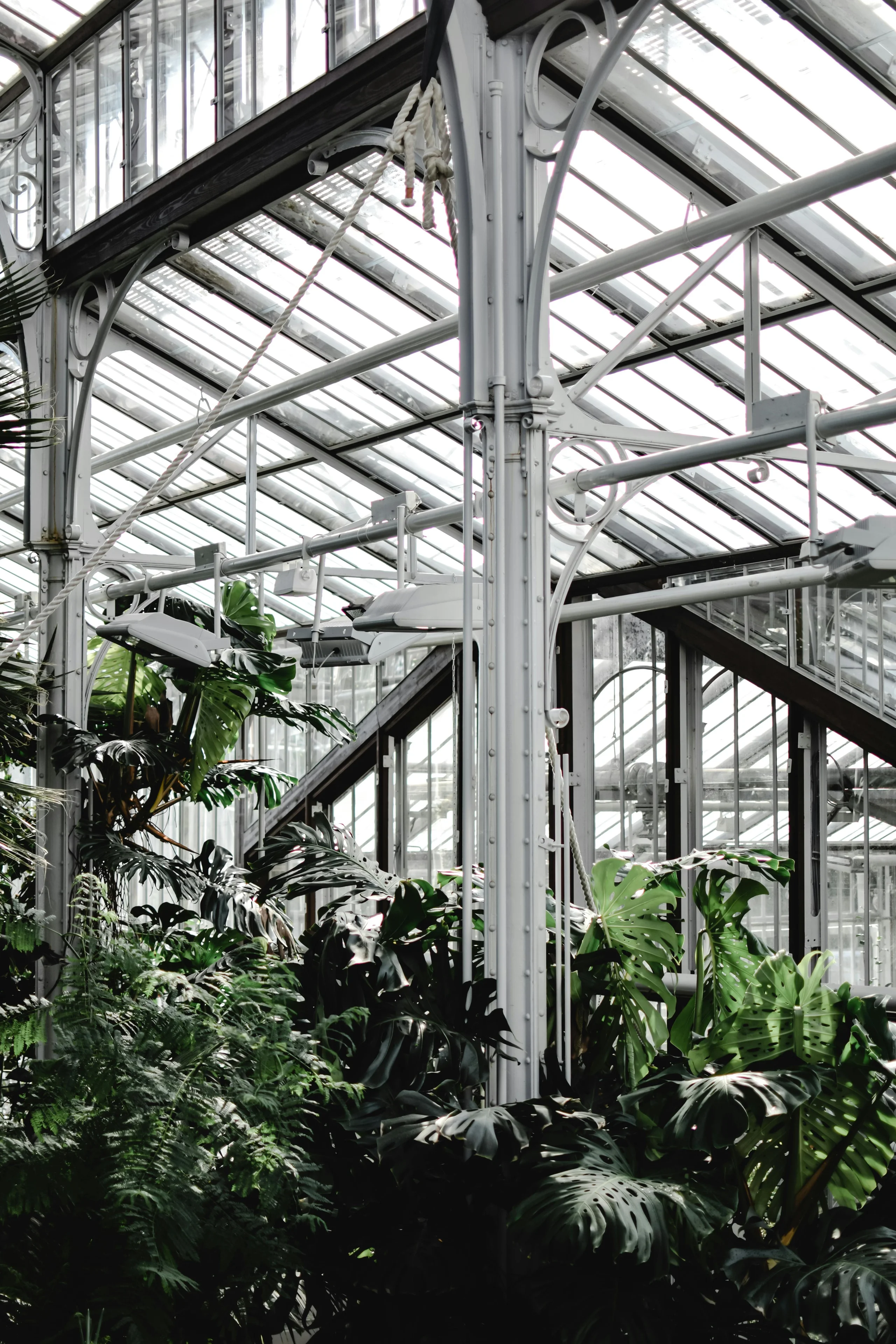 Palm House de Sefton Park: A Estufa Vitoriana