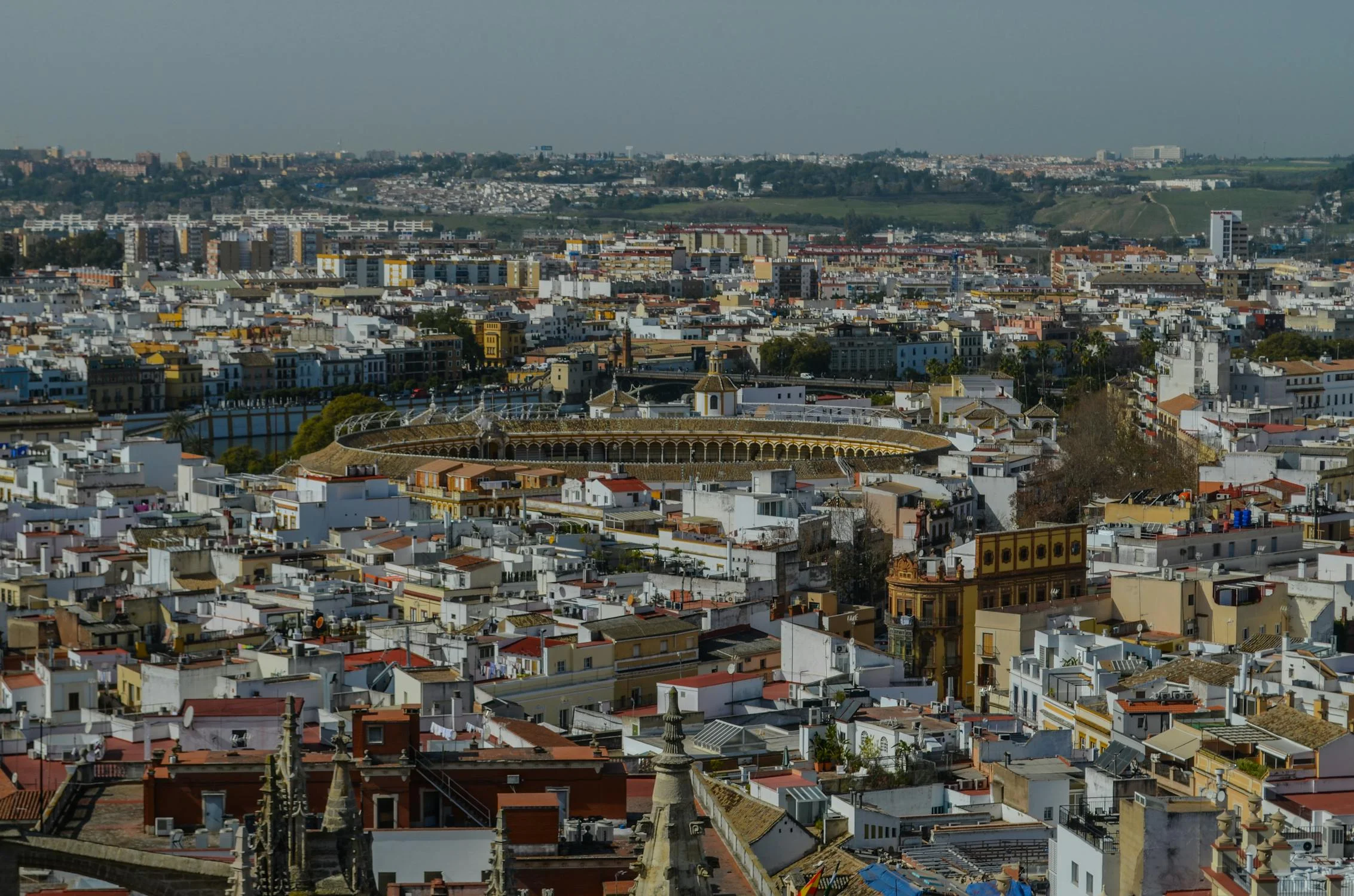 Macarena Quarter