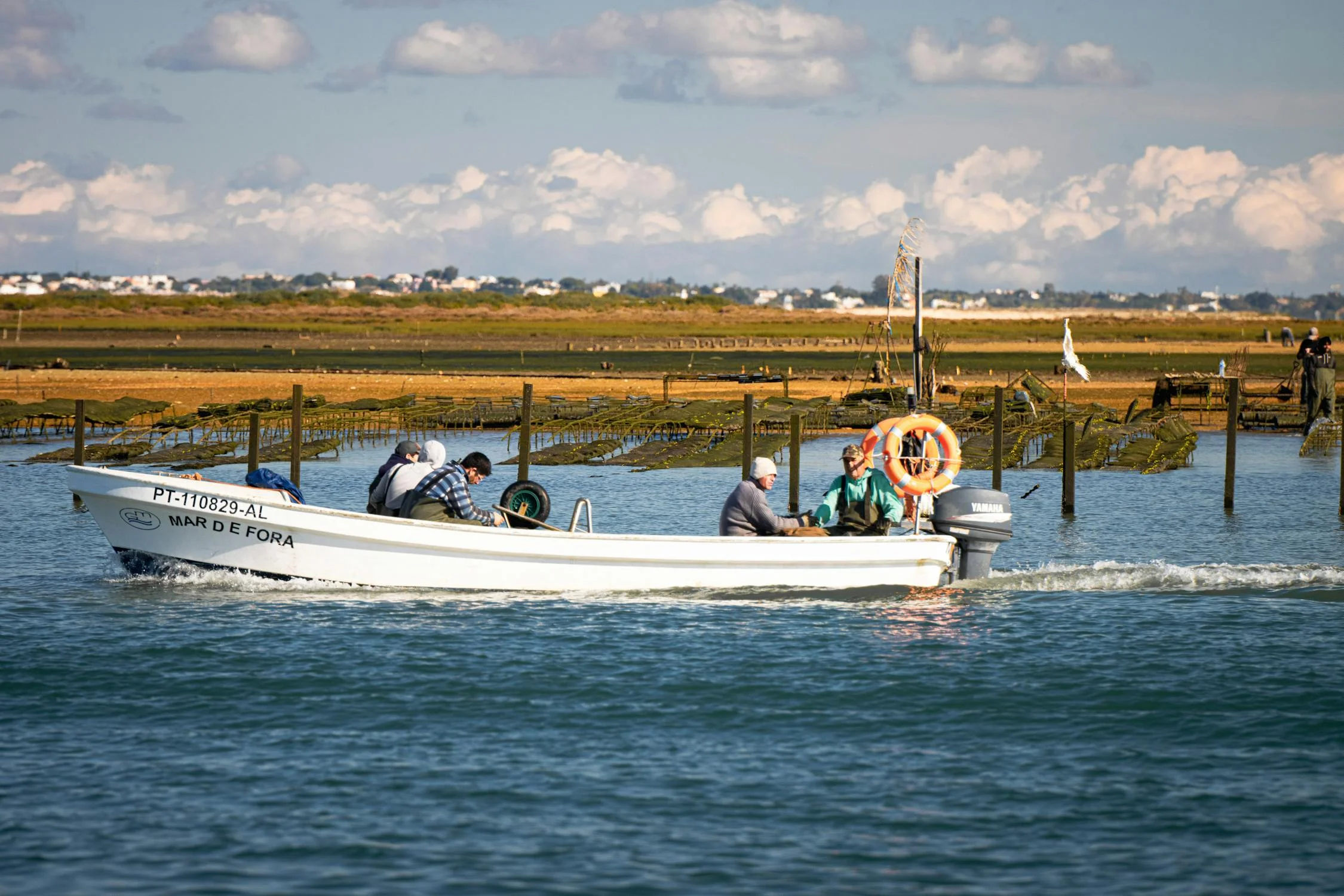 Ria Formosa Boat Tour