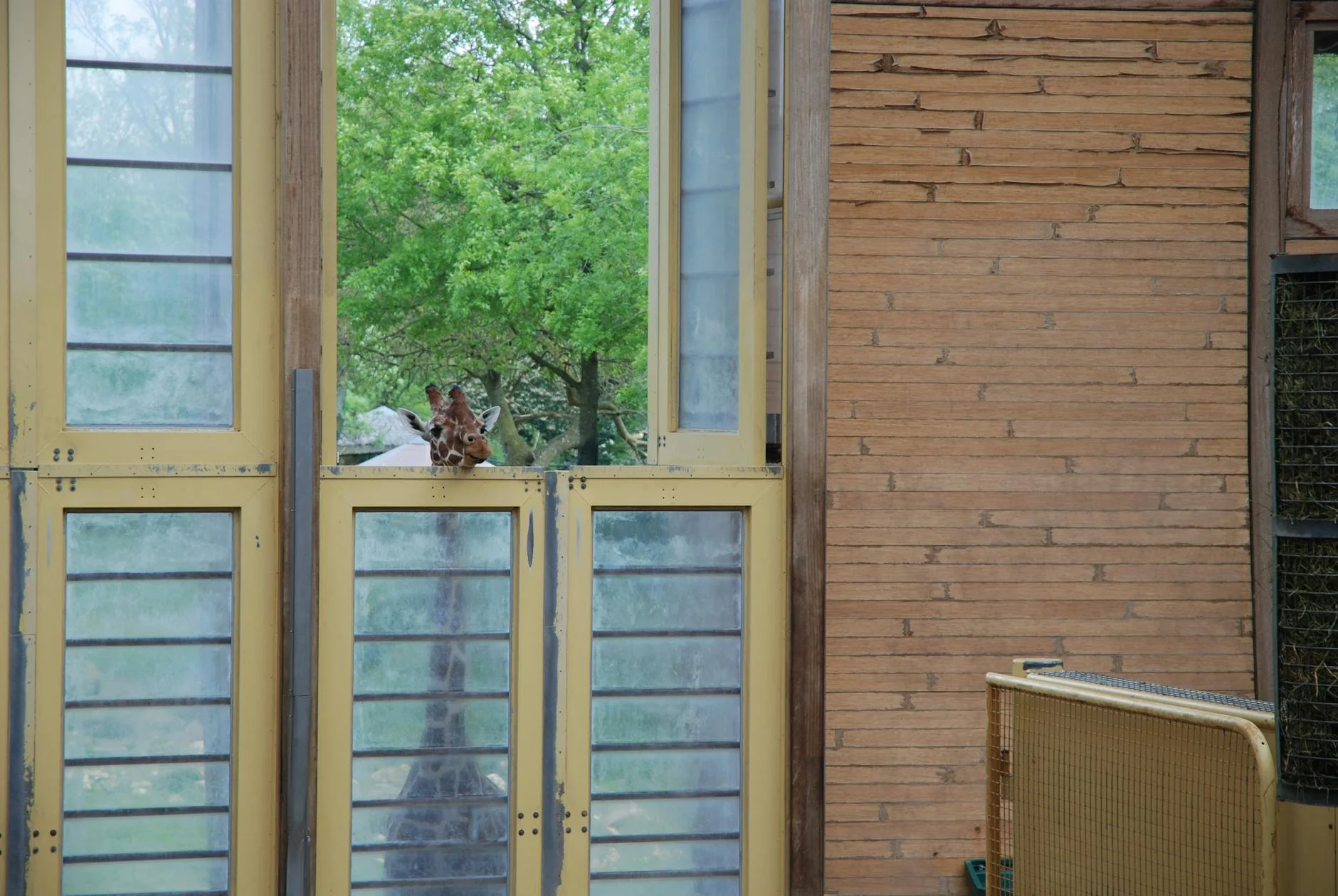 Diergaarde Blijdorp (Rotterdam Zoo)