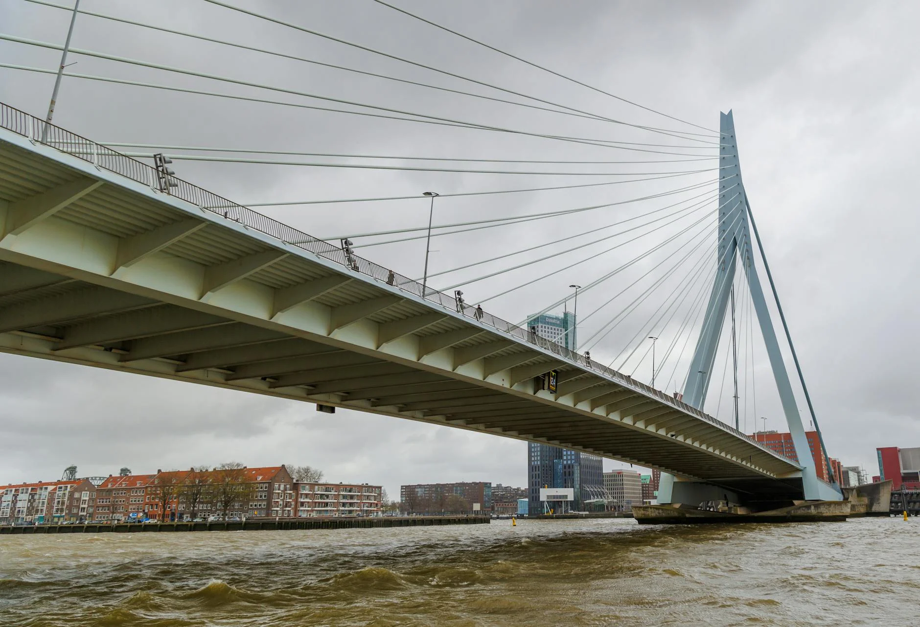 Erasmus Bridge & River Maas Walk