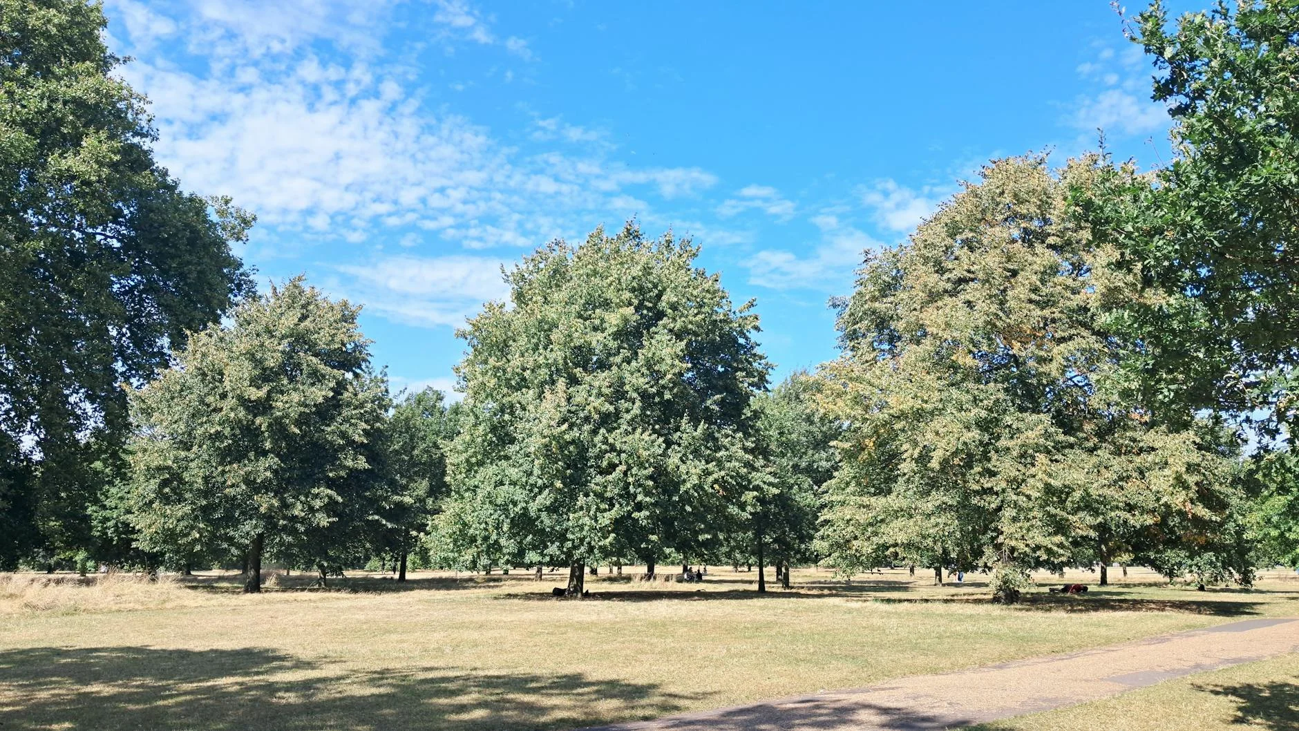 Hyde Park & Diana Memorial Playground