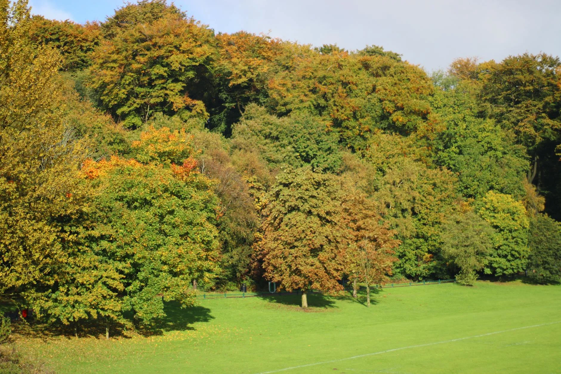Prior Park Landscape Garden