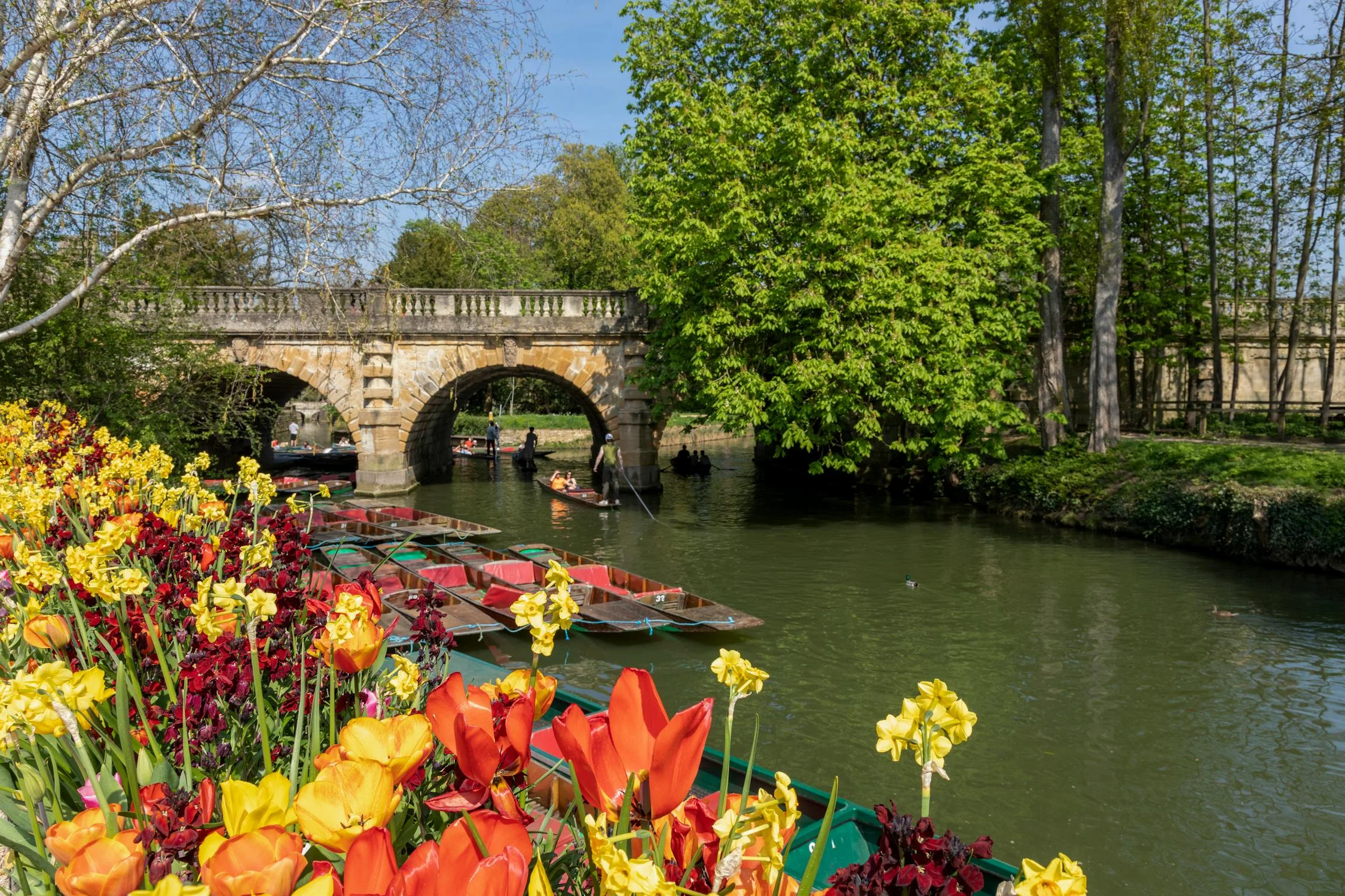 Punting sur la Rivière Cherwell