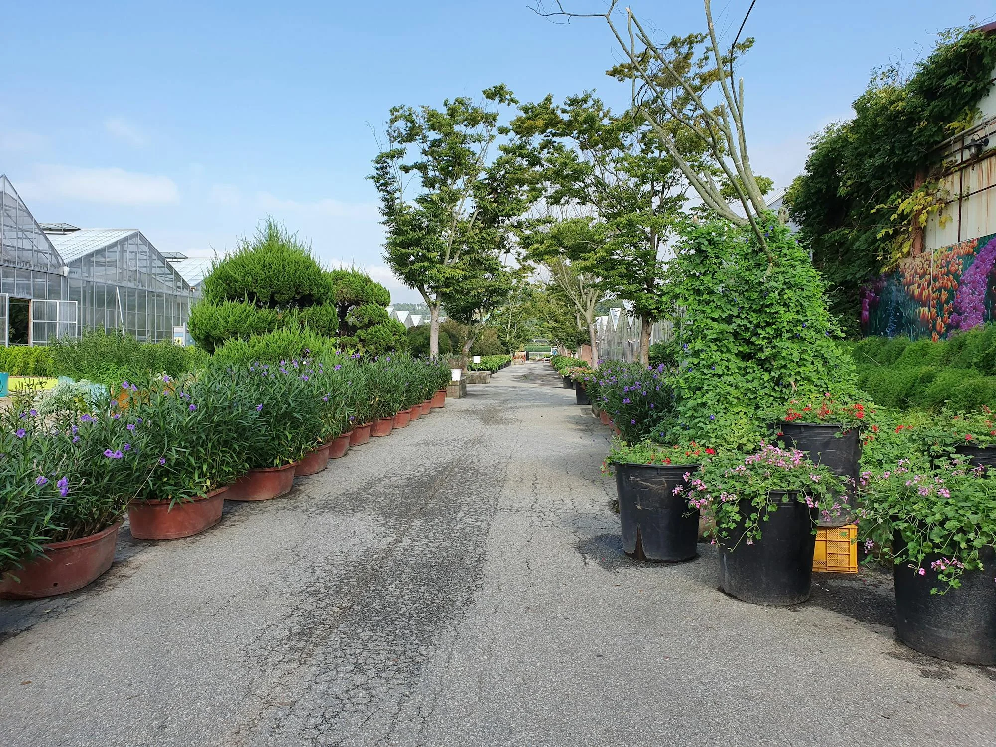 Oxford Botanic Garden