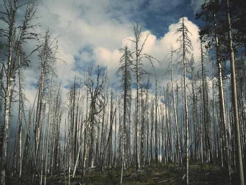 Sevilla Exclusiva: Palacios y Alta Cocina — sevilla