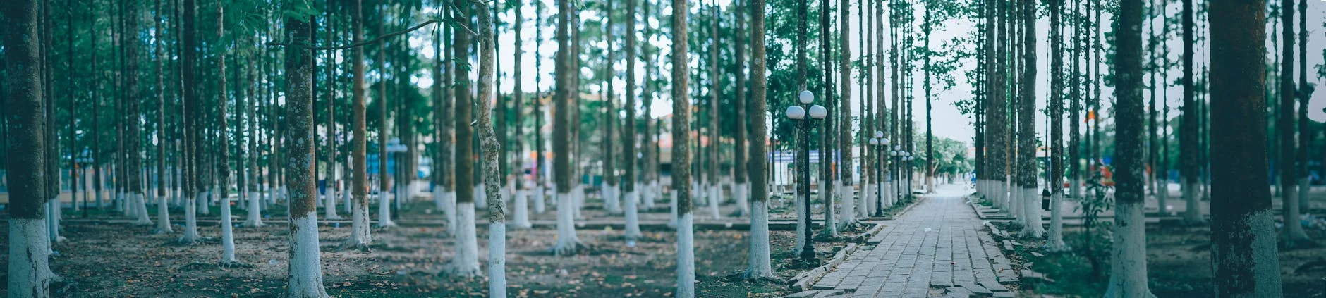 Parc Cristina Enea