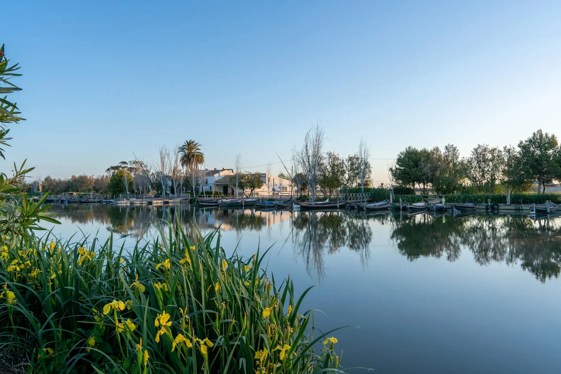 Barca por la Albufera al Atardecer