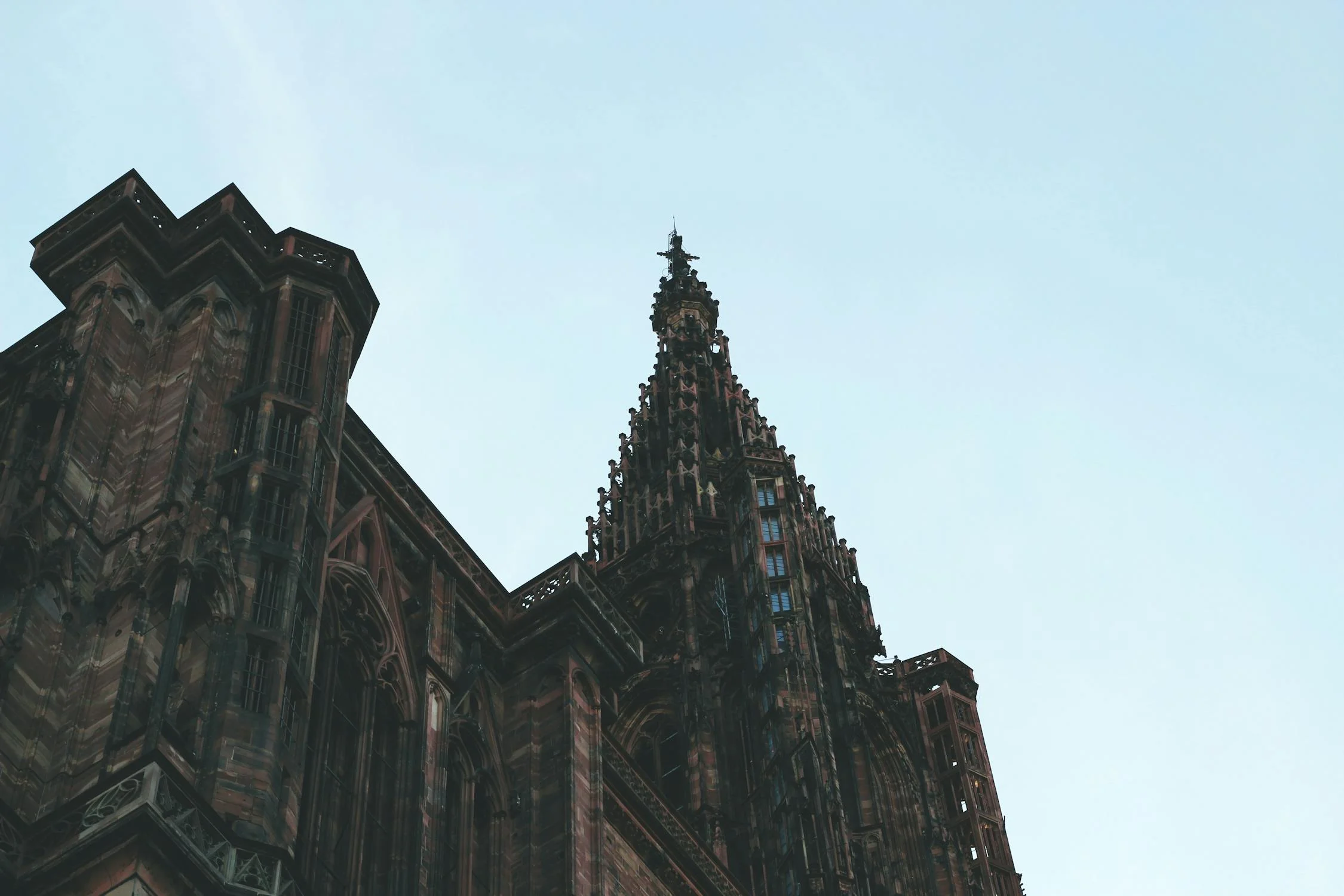 Privatführung durch das Straßburger Münster