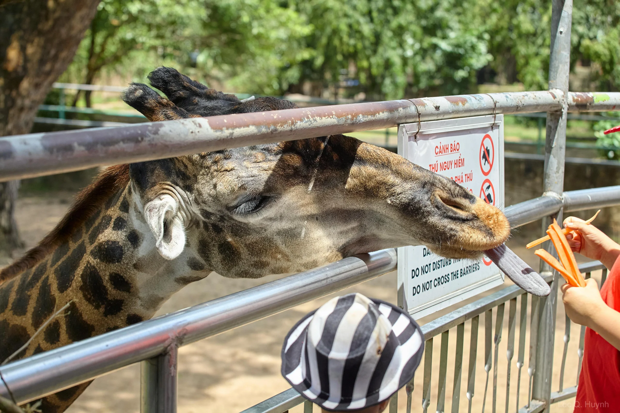 Parc de l'Orangerie et Mini-Zoo des Cigognes