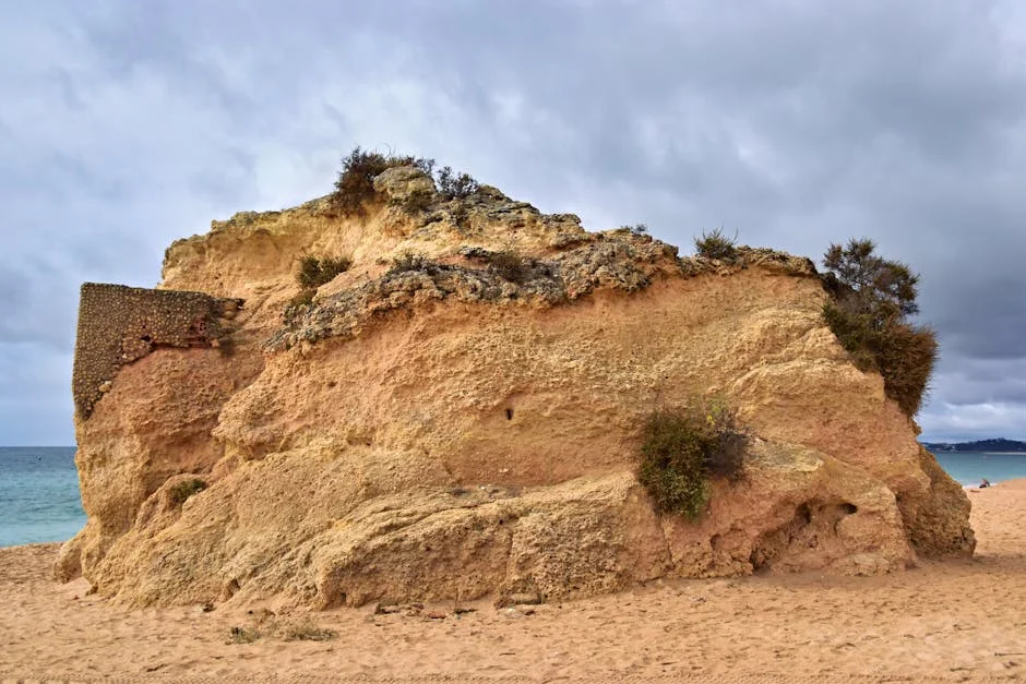 Playa de Praia da Falésia y Acantilados