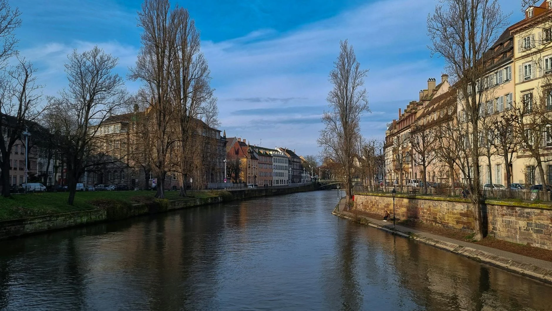 Interior de la Catedral de Notre-Dame: Vitrales y Silencio