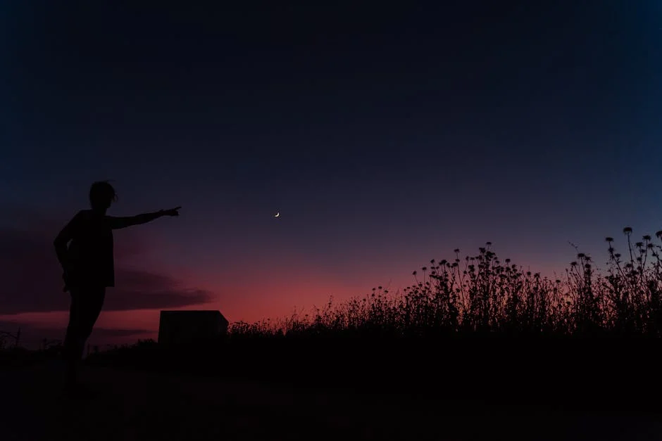 Paseo por las murallas