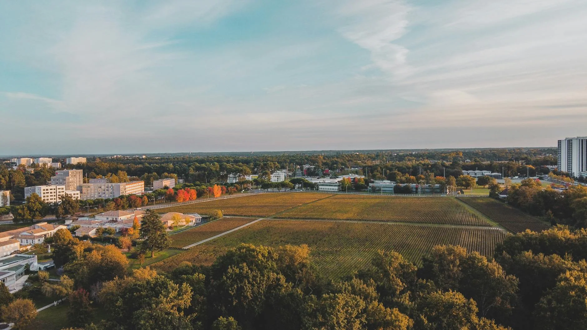 Sabores del Garona — burdeos