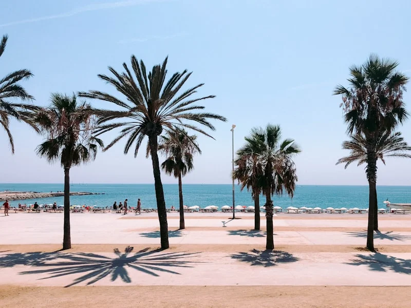 Promenez-vous dans la Barceloneta