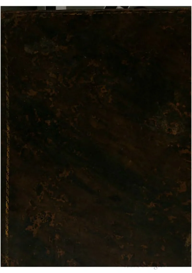 Marsella Underground — marsella