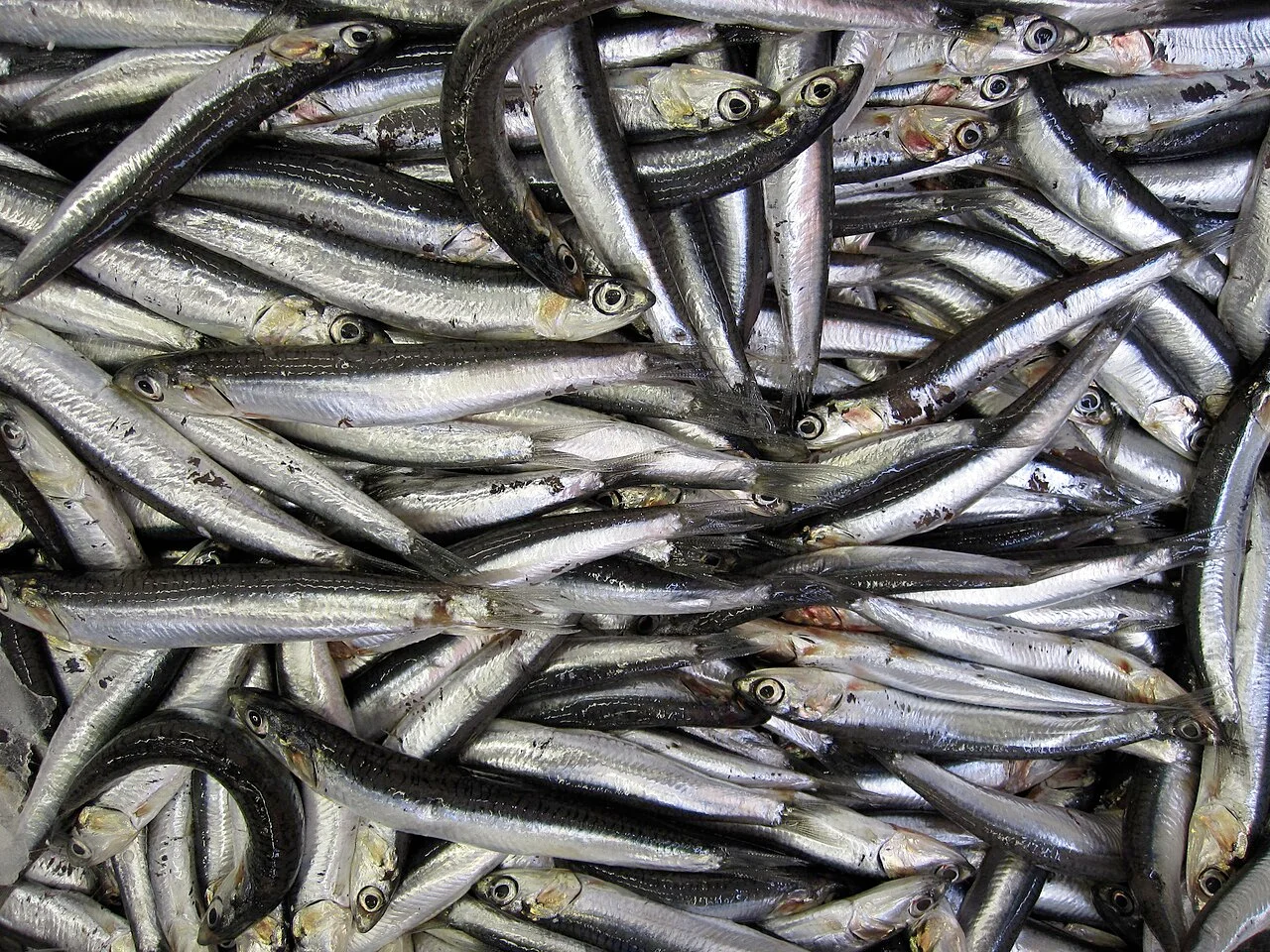 Marché de Testaccio