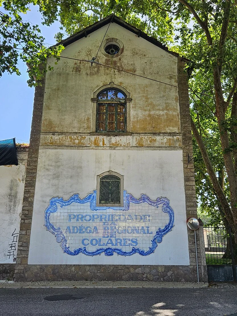 Colares regionale Adega