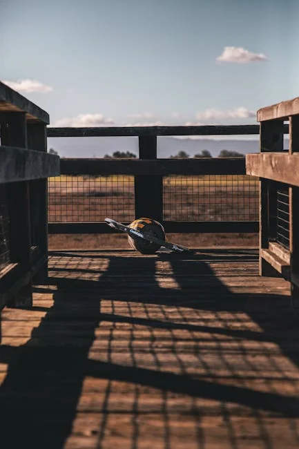 Vista panorámica del skyline de Rotterdam con el Puente Erasmus y la arquitectura moderna reflejada en el río Mosa