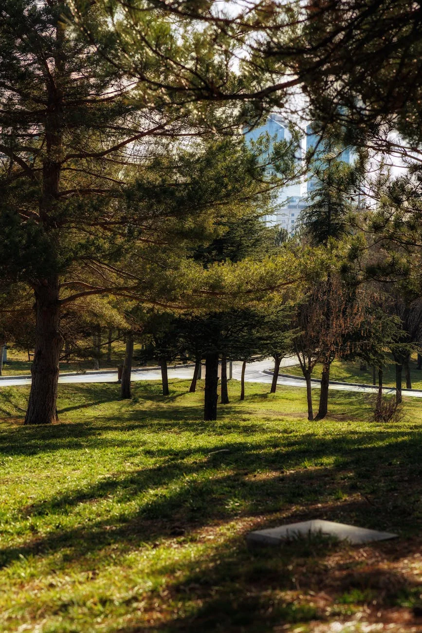 Slow Brussels: Parks, Cafes and Contemplation — bruselas