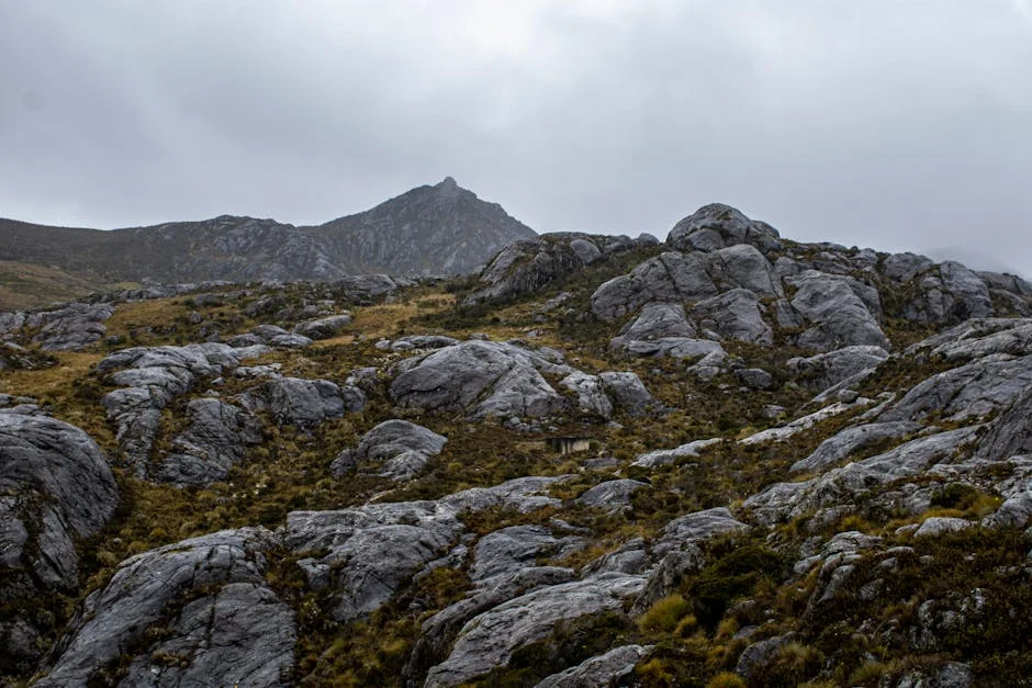Berlín Gastronómico: Sabores Auténticos — berlin